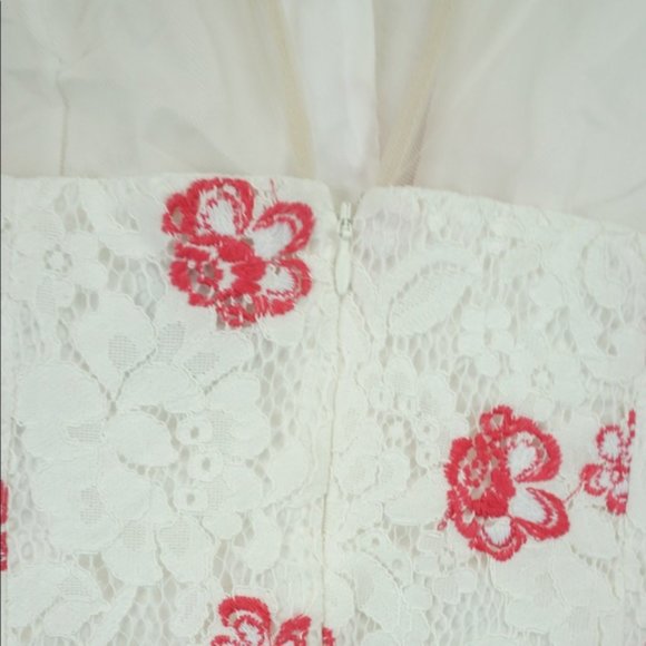 ✨BB Dakota RSVP Flavia Embroidered Lace Dress - Picture 5 of 8